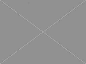 ここに画像1
