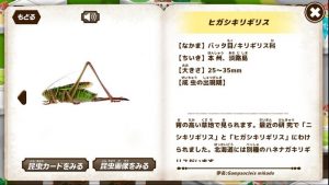 昆虫ずかん詳細画面