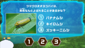 昆虫クイズ画面